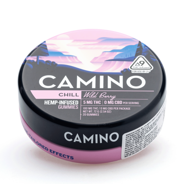 Camino Delta 9 Chill Gummies – Wild Berry (100 mg Delta 9 THC Total) - Image 2